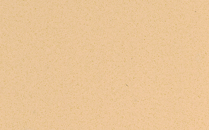 SS3936 �����׻�